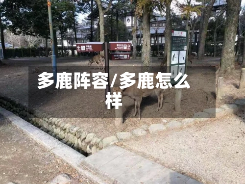 多鹿阵容/多鹿怎么样