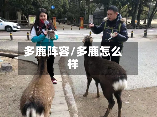 多鹿阵容/多鹿怎么样-第3张图片
