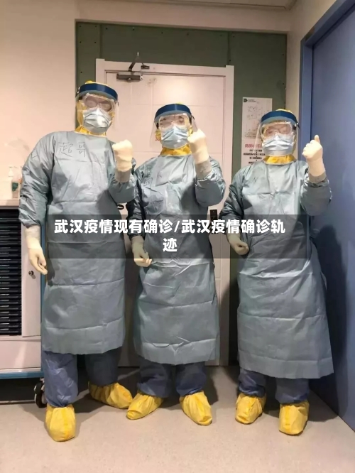 武汉疫情现有确诊/武汉疫情确诊轨迹