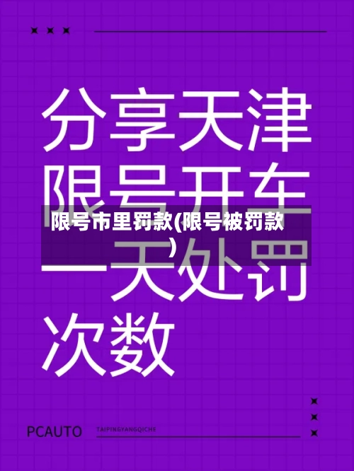 限号市里罚款(限号被罚款)-第2张图片