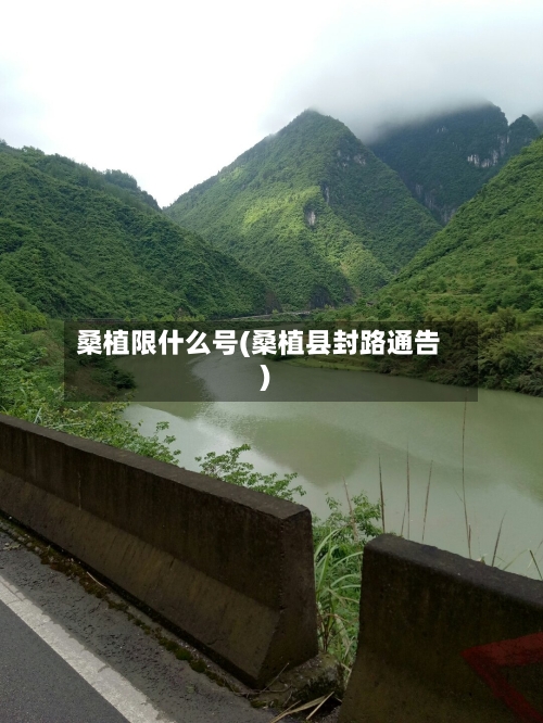 桑植限什么号(桑植县封路通告)-第2张图片