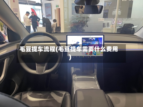 毛豆提车流程(毛豆提车需要什么费用)-第2张图片