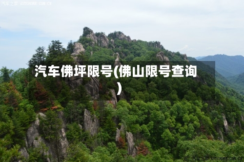 汽车佛坪限号(佛山限号查询)-第2张图片