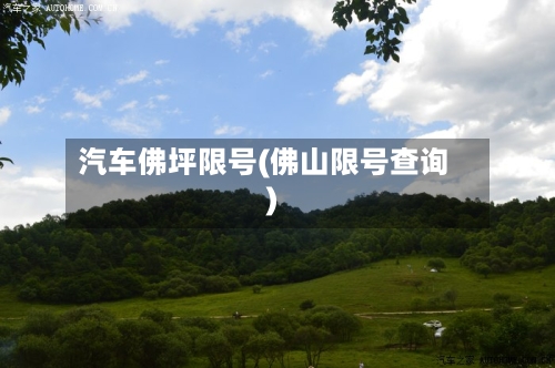 汽车佛坪限号(佛山限号查询)