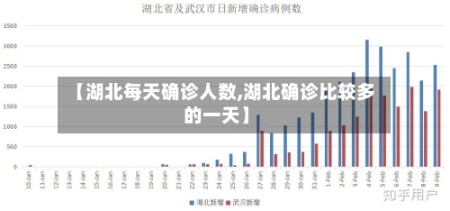 【湖北每天确诊人数,湖北确诊比较多的一天】