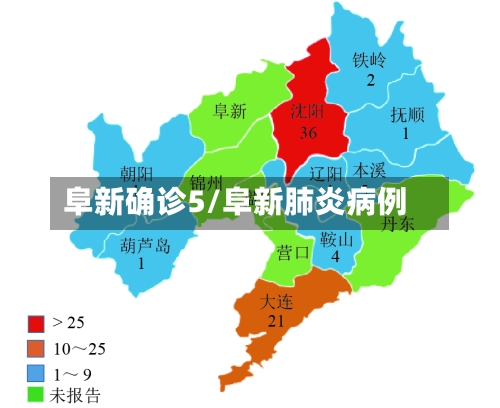 阜新确诊5/阜新肺炎病例-第2张图片