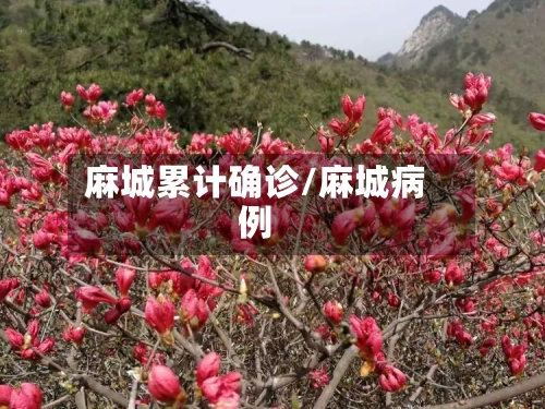 麻城累计确诊/麻城病例-第2张图片