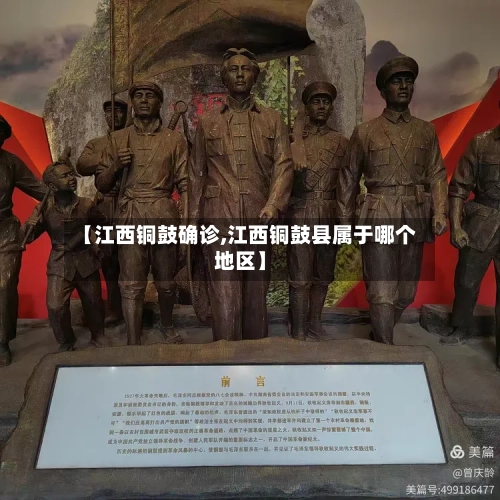 【江西铜鼓确诊,江西铜鼓县属于哪个地区】