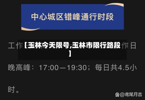 【玉林今天限号,玉林市限行路段】-第2张图片