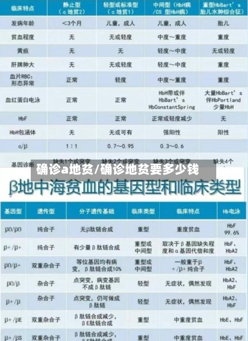 确诊a地贫/确诊地贫要多少钱