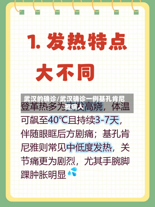 武汉的确诊/武汉确诊一例基孔肯尼雅病人