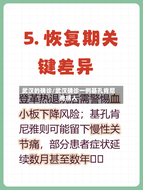 武汉的确诊/武汉确诊一例基孔肯尼雅病人-第2张图片