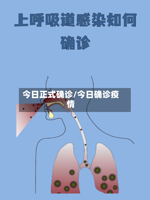 今日正式确诊/今日确诊疫情-第2张图片