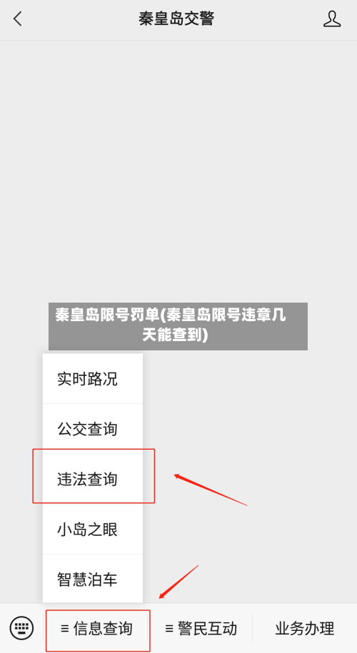 秦皇岛限号罚单(秦皇岛限号违章几天能查到)