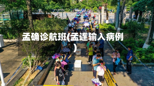 孟确诊航班(孟连输入病例)-第3张图片