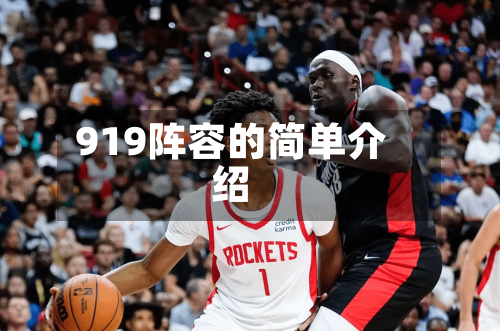 919阵容的简单介绍