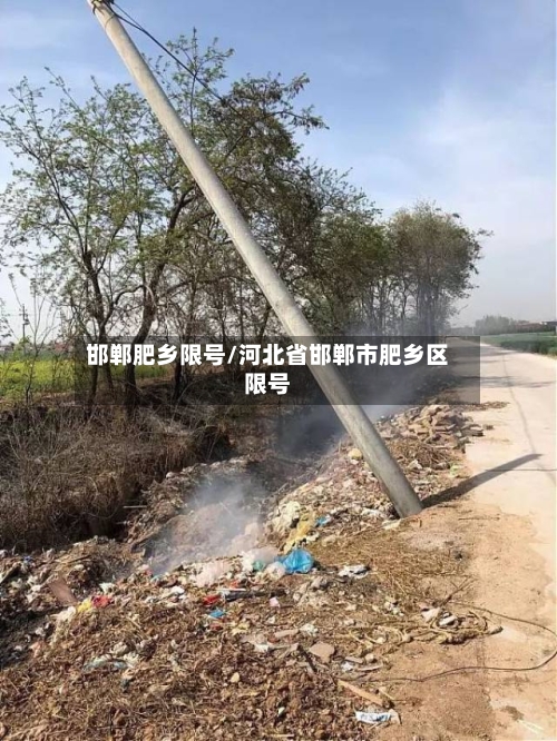 邯郸肥乡限号/河北省邯郸市肥乡区限号-第3张图片