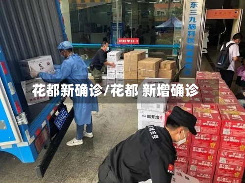 花都新确诊/花都 新增确诊
