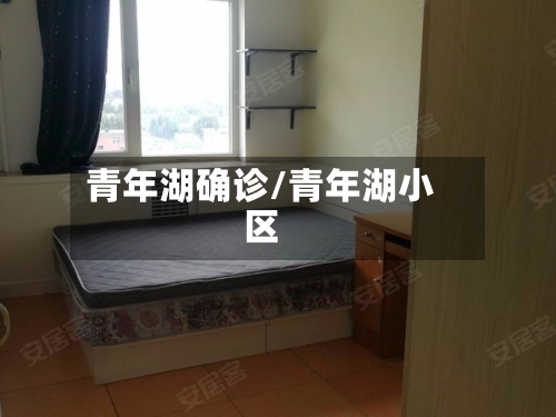 青年湖确诊/青年湖小区-第2张图片