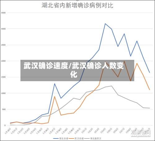 武汉确诊速度/武汉确诊人数变化-第3张图片