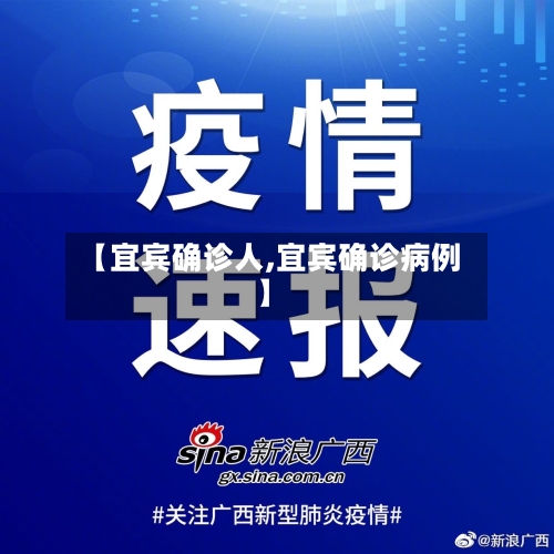 【宜宾确诊人,宜宾确诊病例】-第3张图片