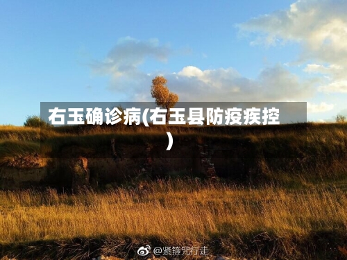 右玉确诊病(右玉县防疫疾控)-第2张图片
