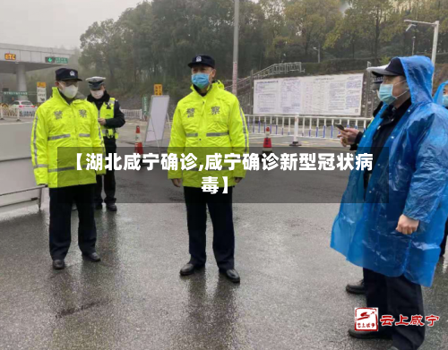 【湖北咸宁确诊,咸宁确诊新型冠状病毒】-第2张图片