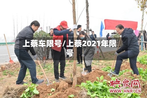 上蔡车限号/上蔡2021年限号