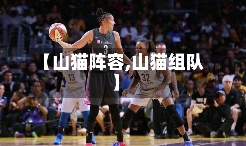 【山猫阵容,山猫组队】-第2张图片