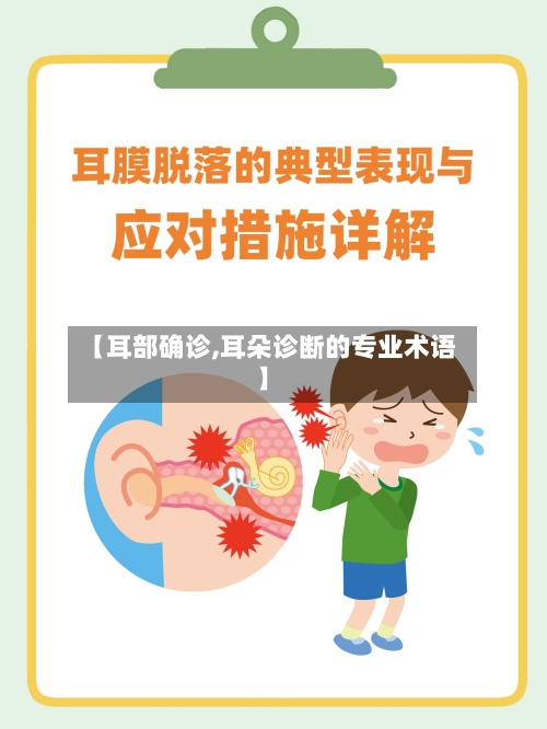 【耳部确诊,耳朵诊断的专业术语】-第2张图片