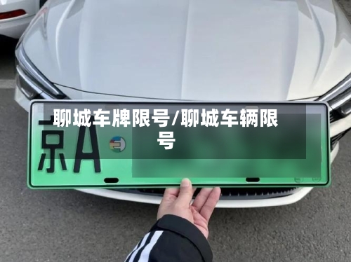 聊城车牌限号/聊城车辆限号-第2张图片