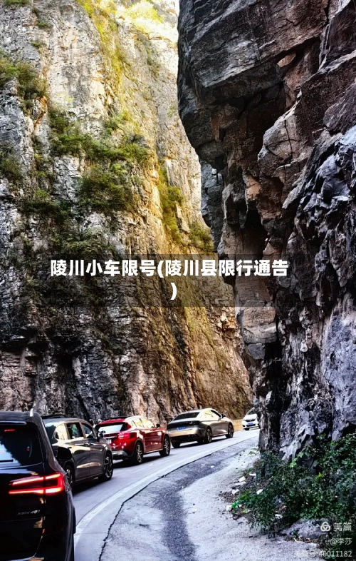 陵川小车限号(陵川县限行通告)-第3张图片