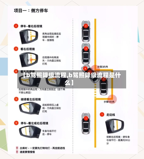 【b驾照降级流程,b驾照降级流程是什么】-第3张图片