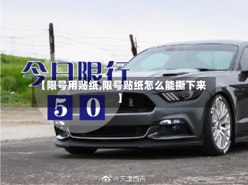 【限号用贴纸,限号贴纸怎么能撕下来】-第2张图片