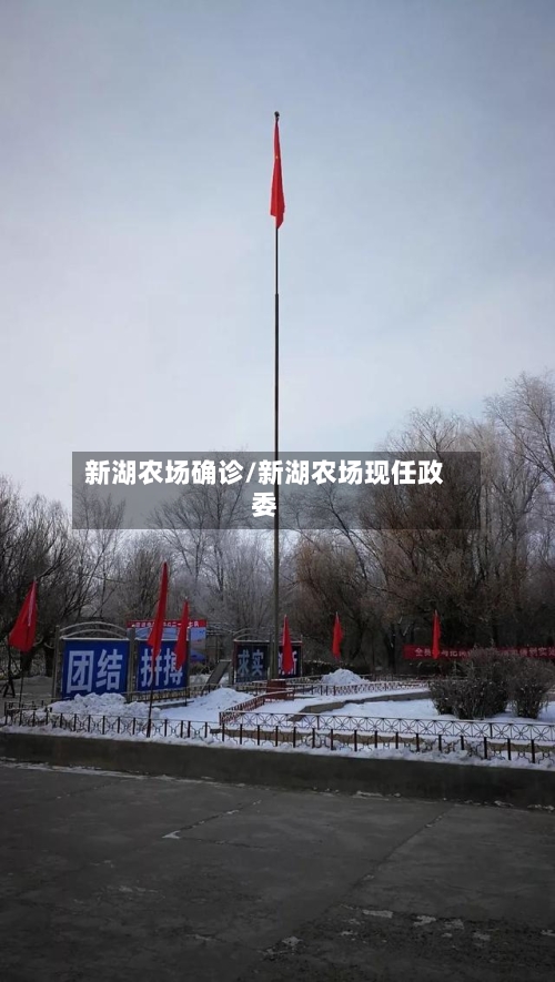 新湖农场确诊/新湖农场现任政委-第3张图片