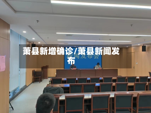 萧县新增确诊/萧县新闻发布-第2张图片