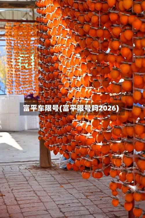 富平车限号(富平限号吗2026)-第2张图片
