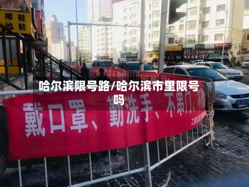 哈尔滨限号路/哈尔滨市里限号吗-第3张图片