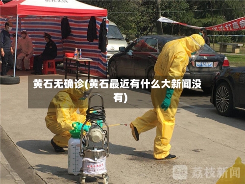 黄石无确诊(黄石最近有什么大新闻没有)