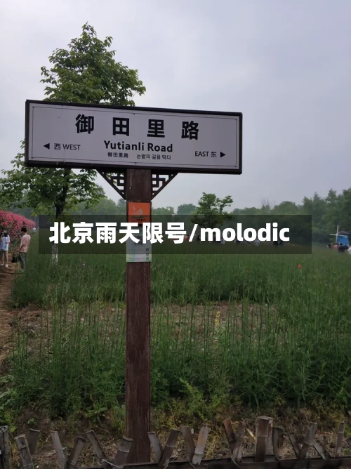 北京雨天限号/molodic-第3张图片
