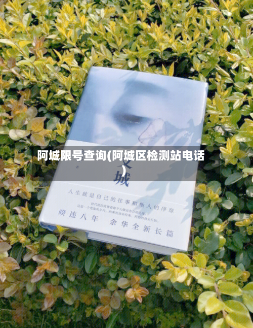 阿城限号查询(阿城区检测站电话)-第2张图片
