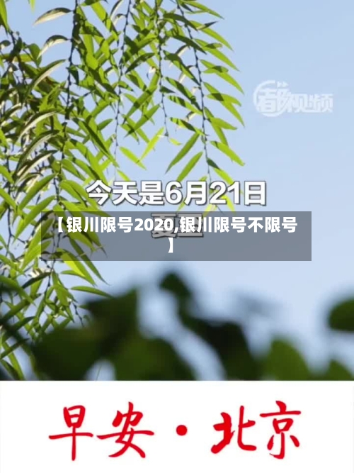 【银川限号2020,银川限号不限号】