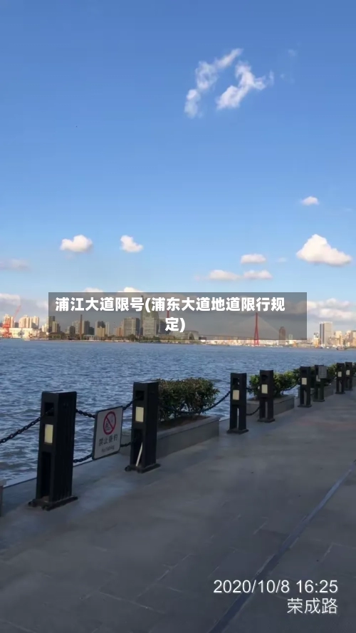 浦江大道限号(浦东大道地道限行规定)-第2张图片