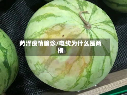 菏泽疫情确诊/电线为什么是两根-第3张图片