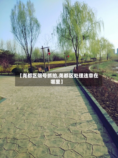 【尧都区限号抓拍,尧都区处理违章在哪里】-第3张图片