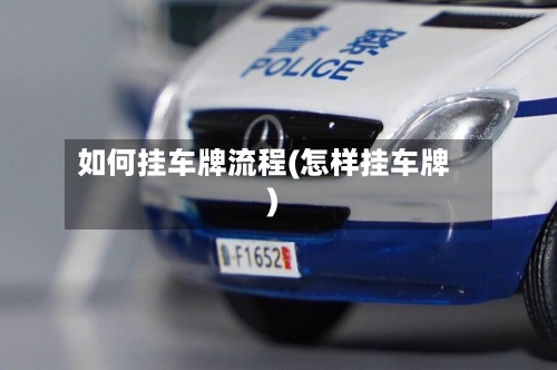 如何挂车牌流程(怎样挂车牌)-第3张图片
