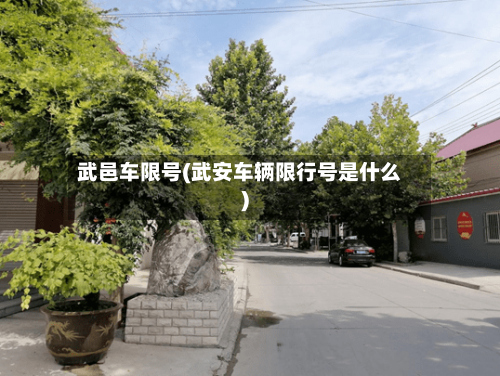 武邑车限号(武安车辆限行号是什么)-第3张图片
