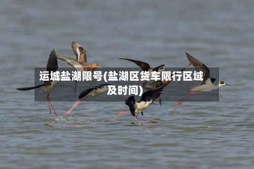 运城盐湖限号(盐湖区货车限行区域及时间)-第3张图片