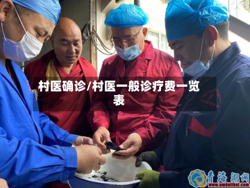 村医确诊/村医一般诊疗费一览表