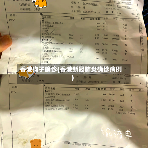 香港狗子确诊(香港新冠肺炎确诊病例)-第2张图片